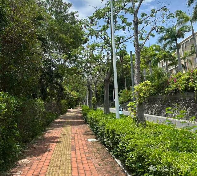 咬人事件那些忽视的真相!pg模拟器电脑版三亚毒蛇(图2) 咬人事件那些忽视的真相!pg模拟器电脑版三亚毒蛇(图2)